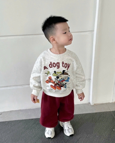 BT748-Bộ nỉ haida bé trai áo xám in phối quần bo ống