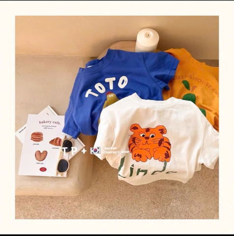 CB259- Combo 3 áo thun LINDO chất cotton mát