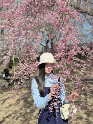 DAM134-Váy midi phối sơ mi liền cúc đồng