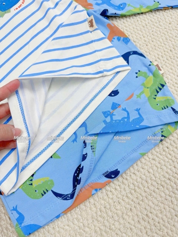 Bt784- combo 3 bộ dài tay cotton bé trai khủng long kẻ xanh