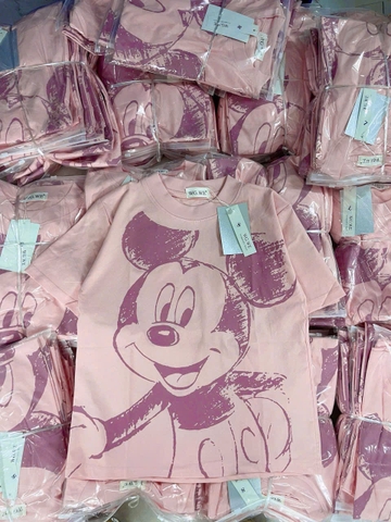 A318- Áo thun hồng Donal in đẹp dáng suông