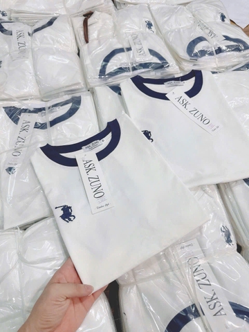 A312- Áo thun trắng phối tay hồng than thêu ngựa