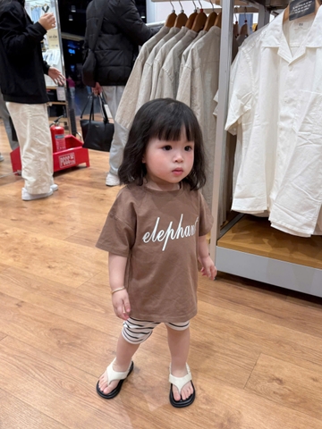 CB293-Combo 2 bộ chữ Ele