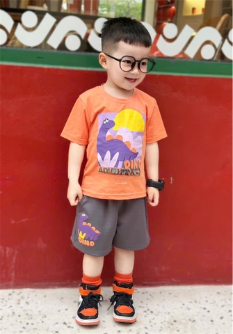 BT447- Bộ áo cotton KHỦNG LONG CAM mix quần cua màu ghi