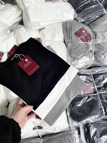 A495-Áo thun cộc tay WE 3 màu chất cotton mát