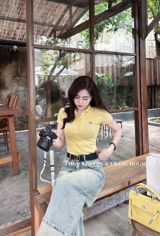 A300- Áo len polo vàng  thêu  logo nổi nhà máy full tem