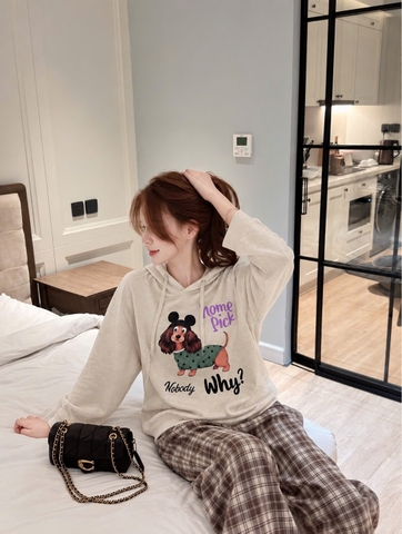 A763-Áo thun cotton có mũ dài tay