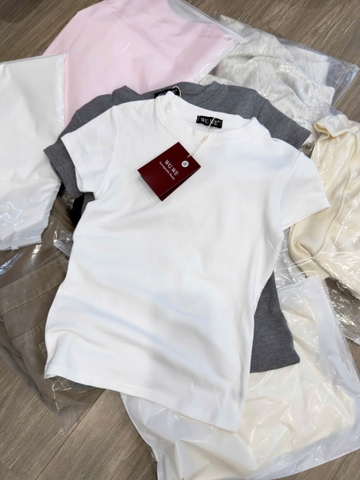 A495-Áo thun cộc tay WE 3 màu chất cotton mát
