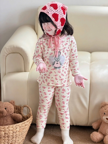 BT1037- Combo 2 bộ thun dài tay thu đông hoa hồng bé gái