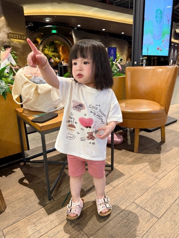 CB293-Combo 2 bộ chữ Ele