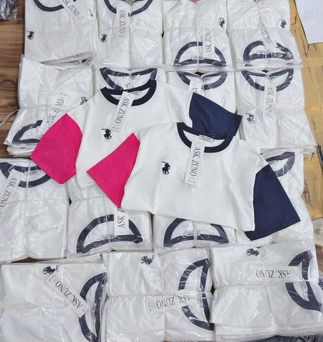 A312- Áo thun trắng phối tay hồng than thêu ngựa