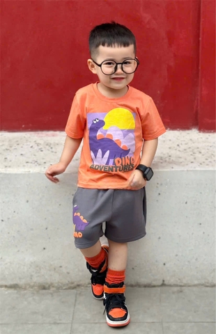 BT447- Bộ áo cotton KHỦNG LONG CAM mix quần cua màu ghi