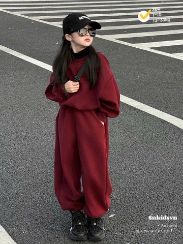 [Max 39kg] Bt742- Bộ nỉ hai da mau đỏ thêu ngựa dáng dài