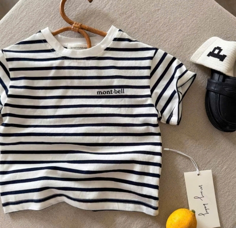 CB400-Combo 4 áo thun cộc tay gấu 4 màu vàng than trắng kẻ