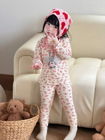 BT1037- Combo 2 bộ thun dài tay thu đông hoa hồng bé gái