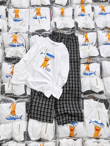 Set1048- Bộ mặc nhà áo thun dài phối ưuaanf suông