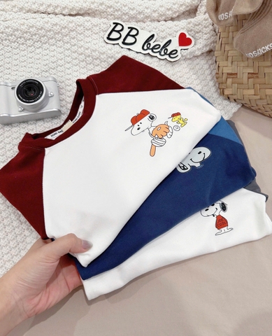 Cb300-Combo 3 áo thun cotton dài tay bé trai 3 màu size 9-27kg