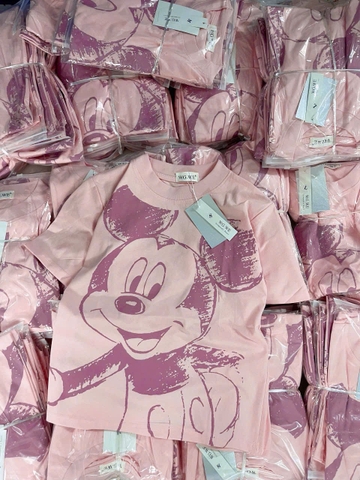A318- Áo thun hồng Donal in đẹp dáng suông