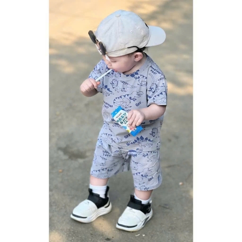 CB306-Combo 2 bộ cotton KHỦNG LONG MÀU in full cộc tay