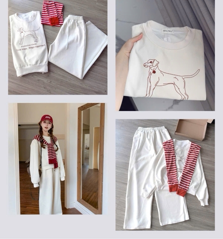 SET747- SET áo nỉ dài tay phối quần suông tặng kèm khăn rời