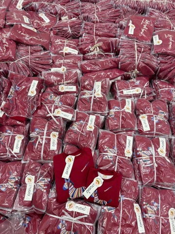 A454-Áo nỉ đỏ gia đình Tết con ngựa