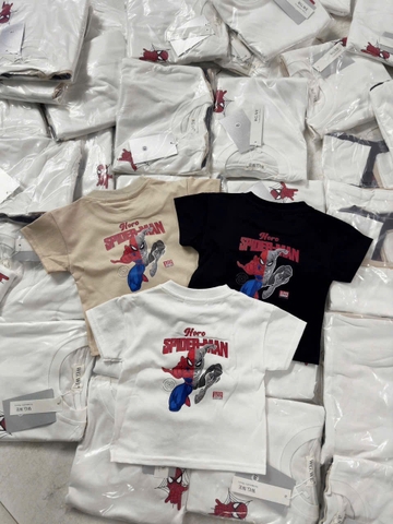 CB243- Combo 3 áo cotton NHỆN trẻ em in lưng