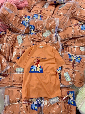 A313- Áo thun mảu cam đất cotton mát