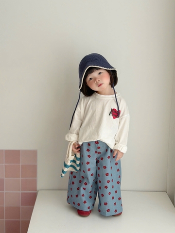 BT1076- Combo 2 quần tông Nâu-Xanh phong cách Hàn