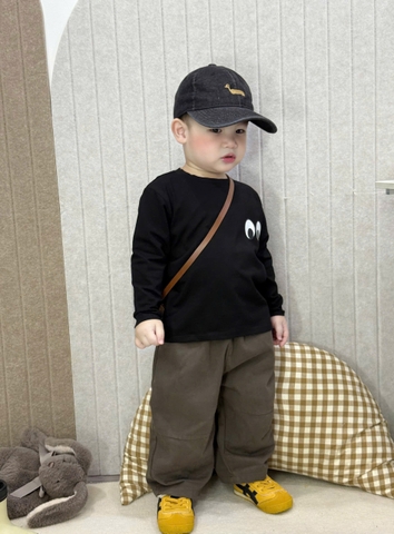 Bt676- Combo 4 áo phông dài tay chất cotton in xanh-vàng