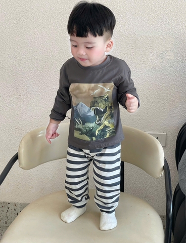 Cb340- Combo 3 bộ thun dài tay khủng long màu nâu bé trai thu đông