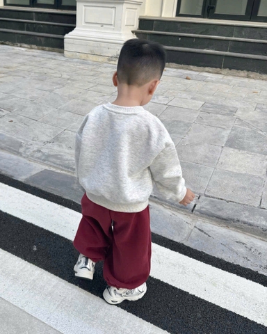 BT748-Bộ nỉ haida bé trai áo xám in phối quần bo ống