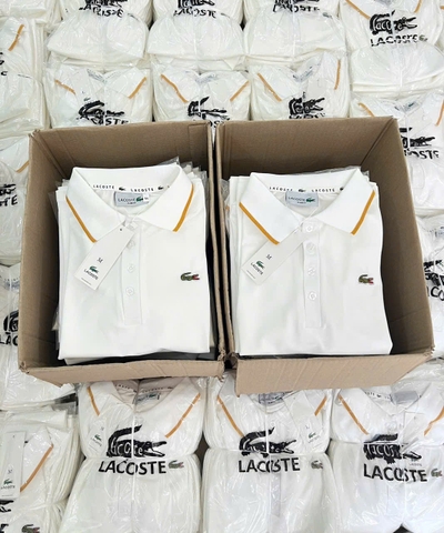 A308- Áo polo trắng  cổ viền vàng logo thêu nổi