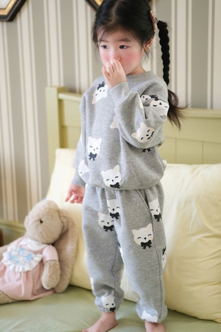 BN158-(8-26kg) Bộ nỉ thu đông bé gái mèo xám VNXK