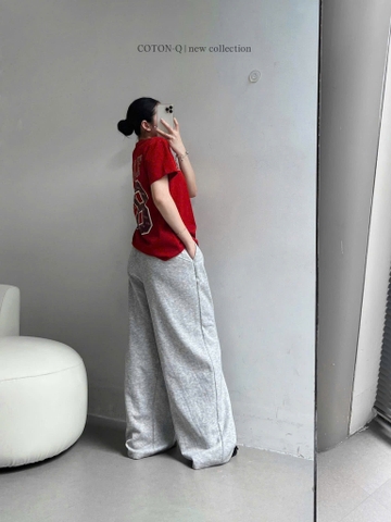 A505-Áo thun đỏ suông viền cổ Rich 88