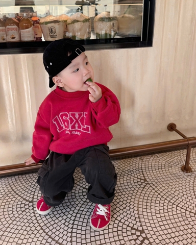 Aokid05- Áo nỉ haida đỏ cho bé size 9-26kg