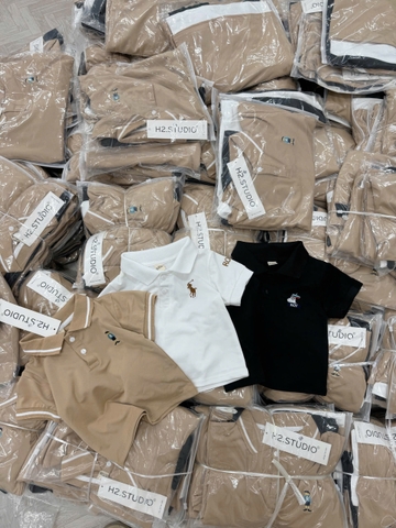 Cb342- Combo 3 áo polo trẻ em hoạ tiết thêu