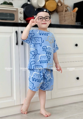 BT546- combo 2 bộ cotton Gero xanh trắng chất cotton loại đẹp