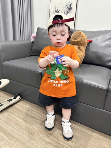 BT847-Combo 3 áo thun cotton cộc tay sắc màu cho bé 9-26kg