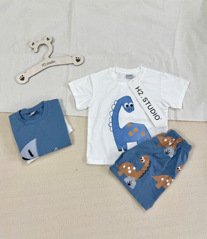 BT898-Combo 2 bộ KHỦNG LONG CỔ DÀI cộc tay cotton bé trai