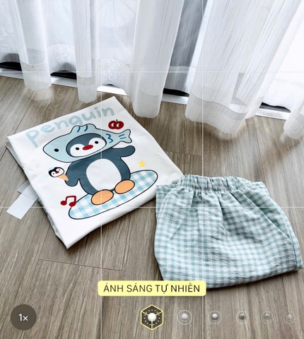 Set890- Bộ thun cotton mặc nhà sát nách phối quần short kẻ xanh