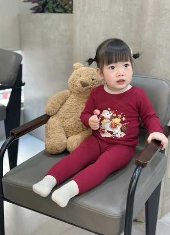 Bt790- Bộ nỉ lót lông Tết BÍnh Ngọ cho bé