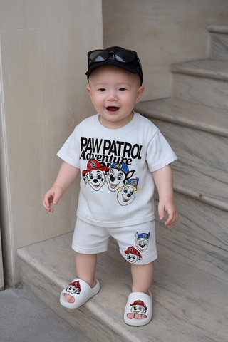 bT569- Bộ Chó cứu hộ màu ghi áo coton quần nỉ mì