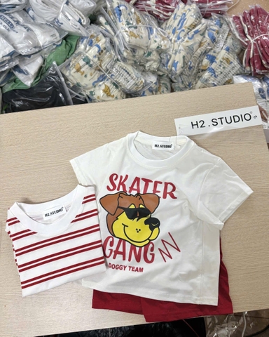 BT441- Bộ 2 áo cotton kẻ đỏ mix quần kaki đỏ