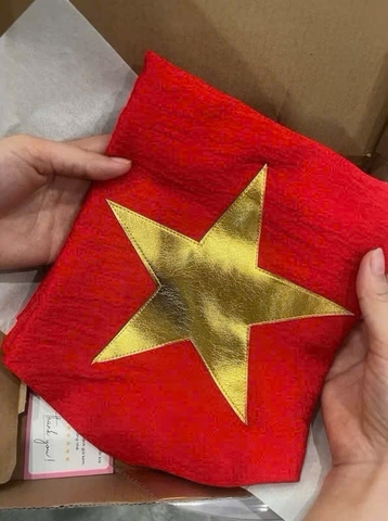 Khăn quàng đỏ sao vàng