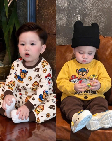 BT1085- Set 2 bộ thun díp dài tay chó cứu hộ vàng nâu cho bé