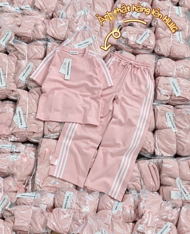 Set1041- Set áo nỉ hồng cộc phối quần suông hồng