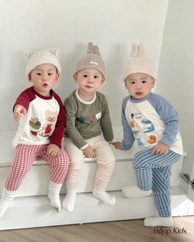 BT732- Bộ zip lông 4 màu mới phối tay