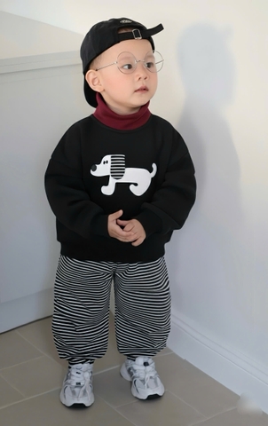 Bt751- bộ Cún tai nổi quần kẻ 3 màu chất nỉ haida