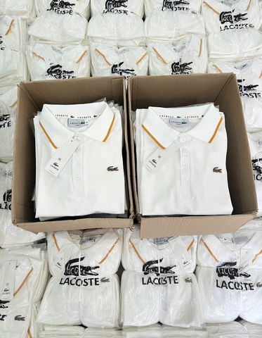 A308- Áo polo trắng  cổ viền vàng logo thêu nổi