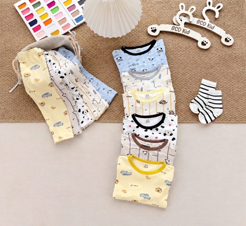 BT1071- Combo 2 bộ thun zip màu pastel viền cổ dài tay